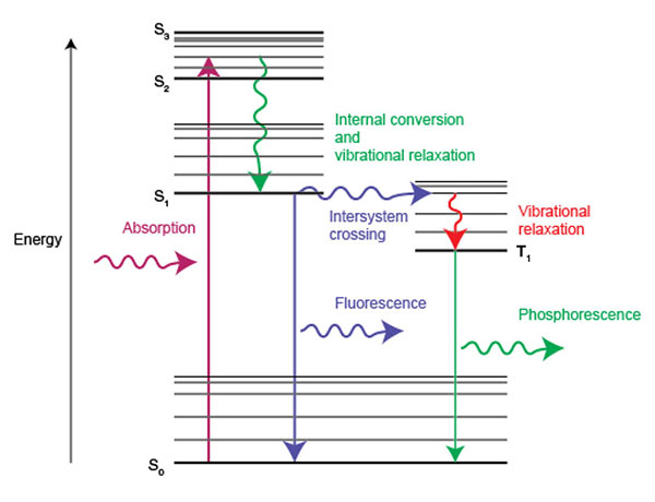 Diagrama de energía que muestra la absorción de la luz y los procesos relacionados en la emisión de luz como fluorescencia y fosforescencia.