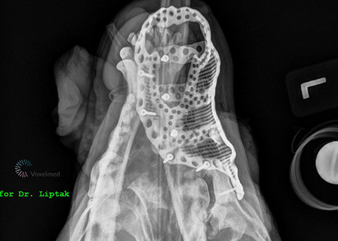 Radiografía superior con el implante en su posición