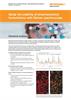 Application note:  Study the stability of pharmaceutical formulations with Raman microscopy