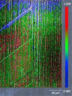 Raman photocurrent mapping module - photocurrent and peak position overlay